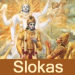 bhagavad gita sloka recitation android application logo